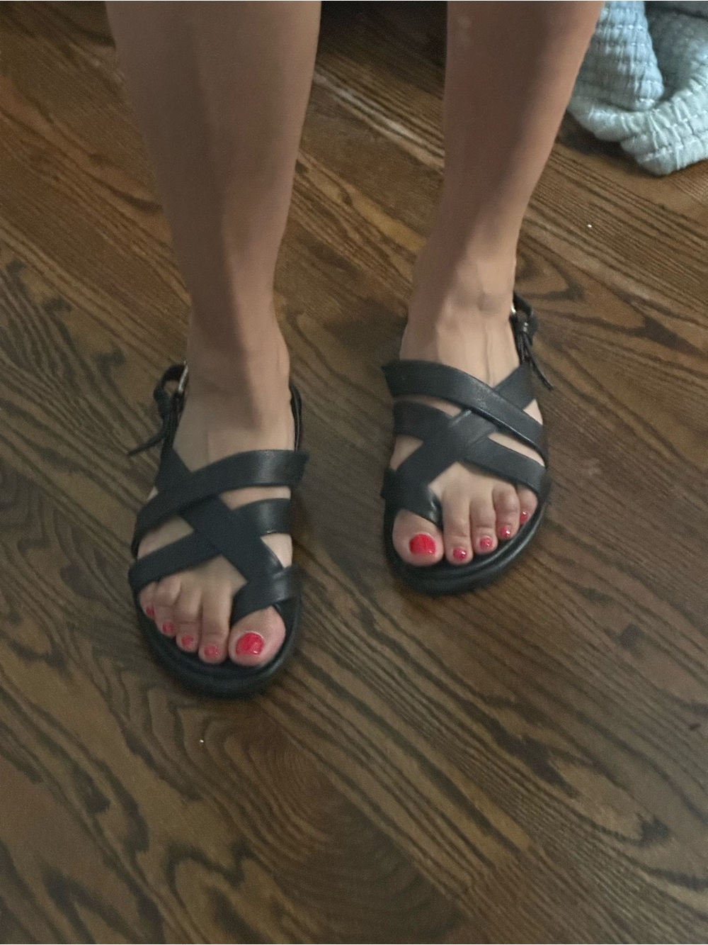 Frye Leather Gladiator Sandals - Black